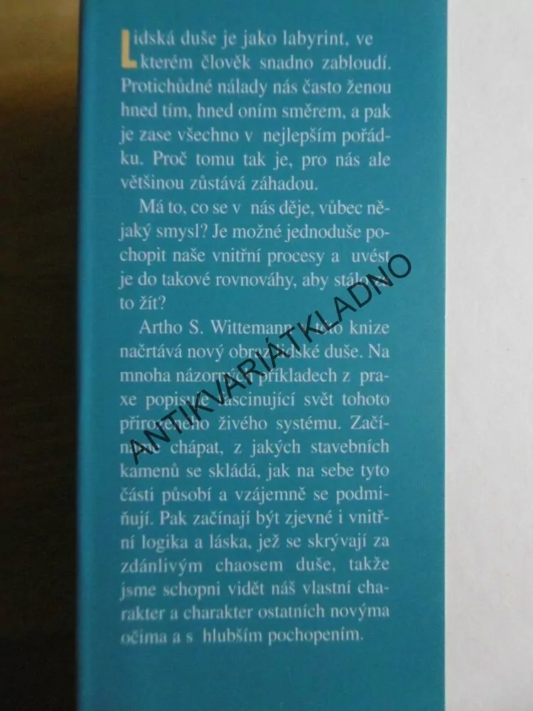INTELIGENCE DUŠE, ARTHO S. WITTEMANN, **an