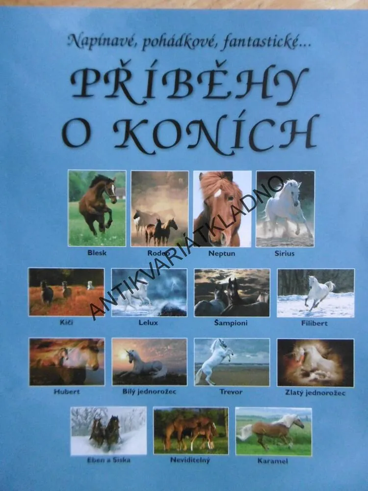 PŘÍBĚHY O KONÍCH, **an