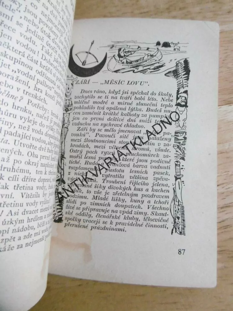 DRUHÝ ZÁPISNÍK 13 BOBŘÍKŮ, JUNÁK , SKAUT, 