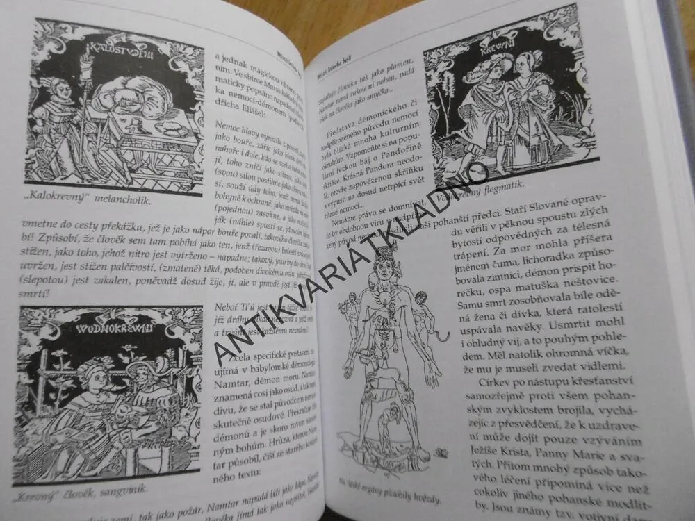 LABYRINTEM STŘEDOVĚKU, KOUZLA A RITUÁLY STARÝCH CECHŮ, ALEŠ ČESAL, ROMAN HERZINGER, **an