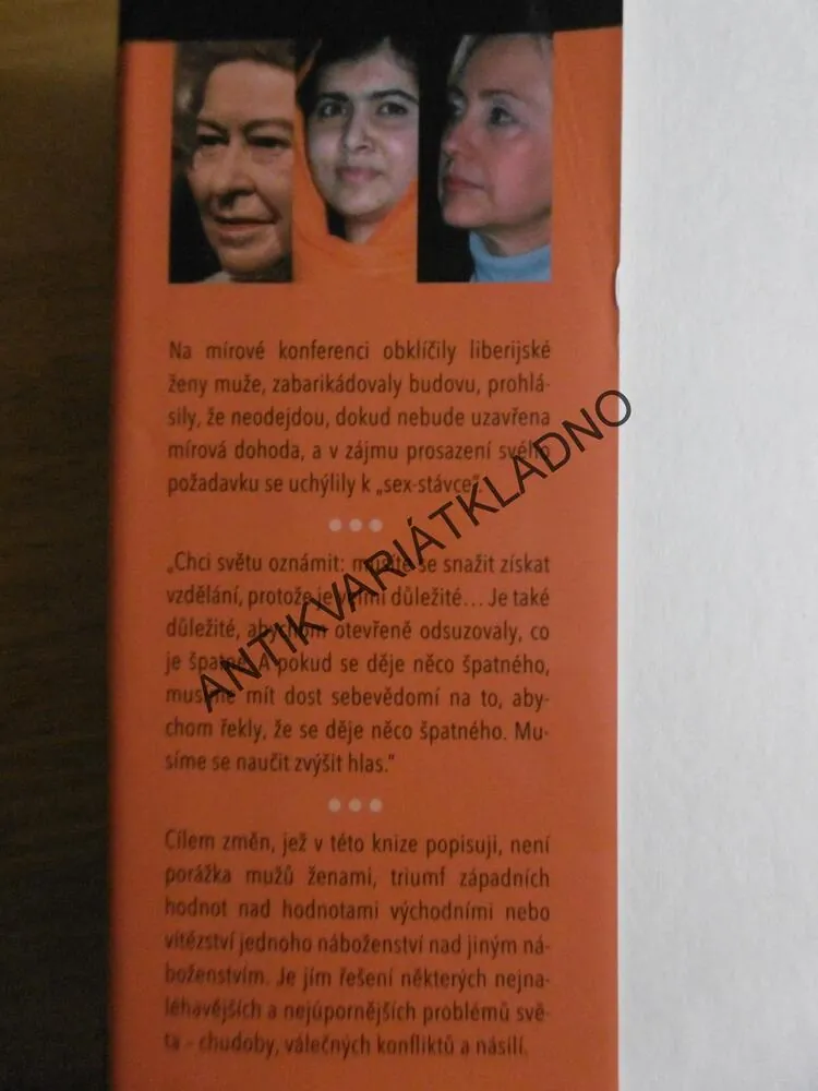 VZPOURA: ÚSVIT NOVÉHO VĚKU PRO VŠECHNY EVINY DCERY, SALLY ARMSTRONGOVÁ, **an