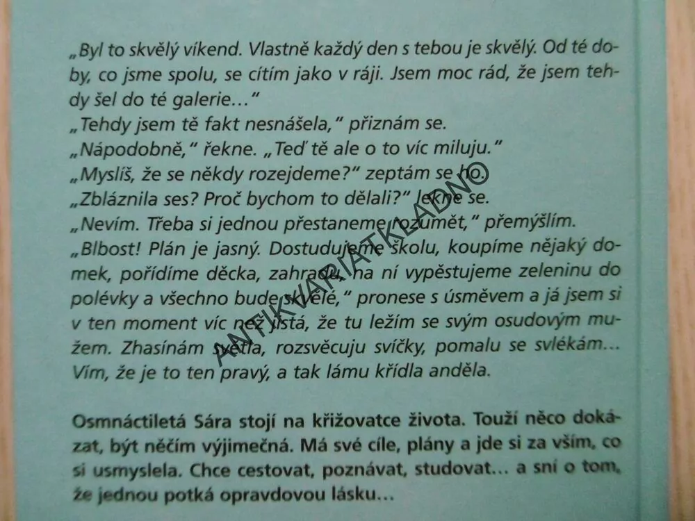 JAK ANDĚLŮM ZLOMIT KŘÍDLA, VERONIKA HURTOVÁ, **an