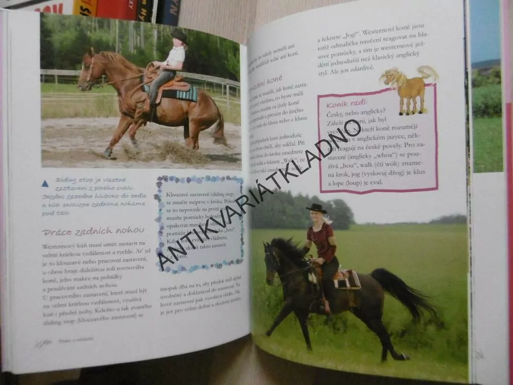 JEZDECTVÍ, MŮJ KONÍČEK, SIBYLLE LUISE BINDER, **an