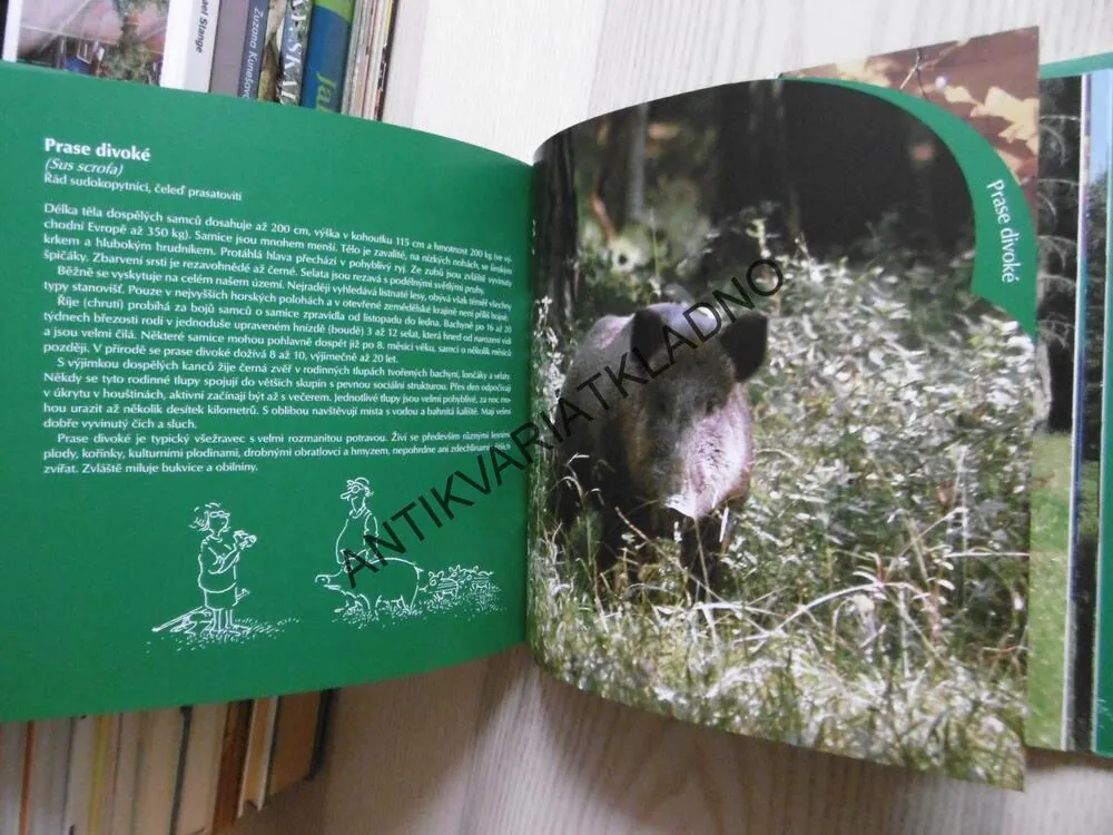 LÁNSKÁ OBORA, VLADIMÍR RENČÍN, VĚRA PŮŽOVÁ, **an