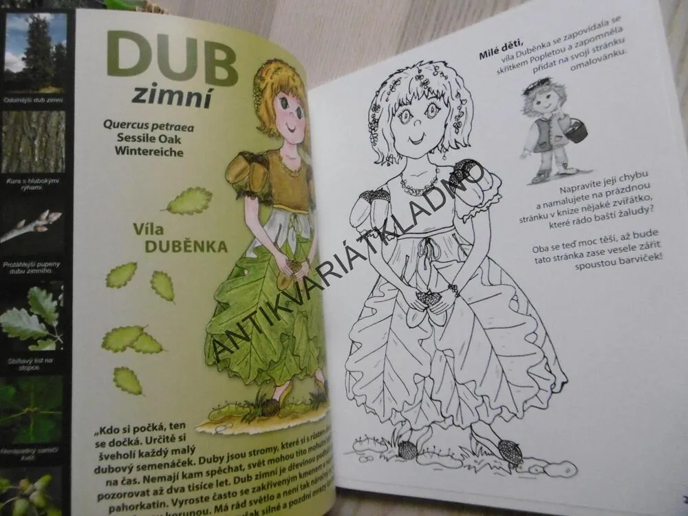 TAJEMSTVÍ ŠUMAVSKÝCH STROMŮ, KOLEKTIV AUTORŮ, **an
