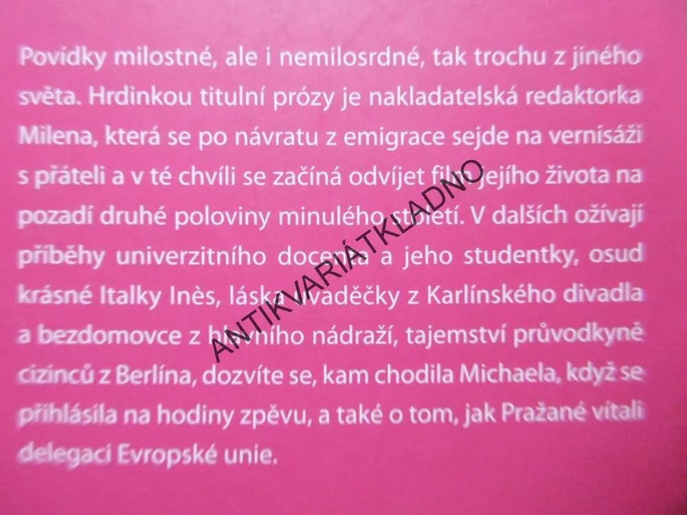ŽÁRLIVÁ POSTEL, JAROSLAV HOLOUBEK, **an
