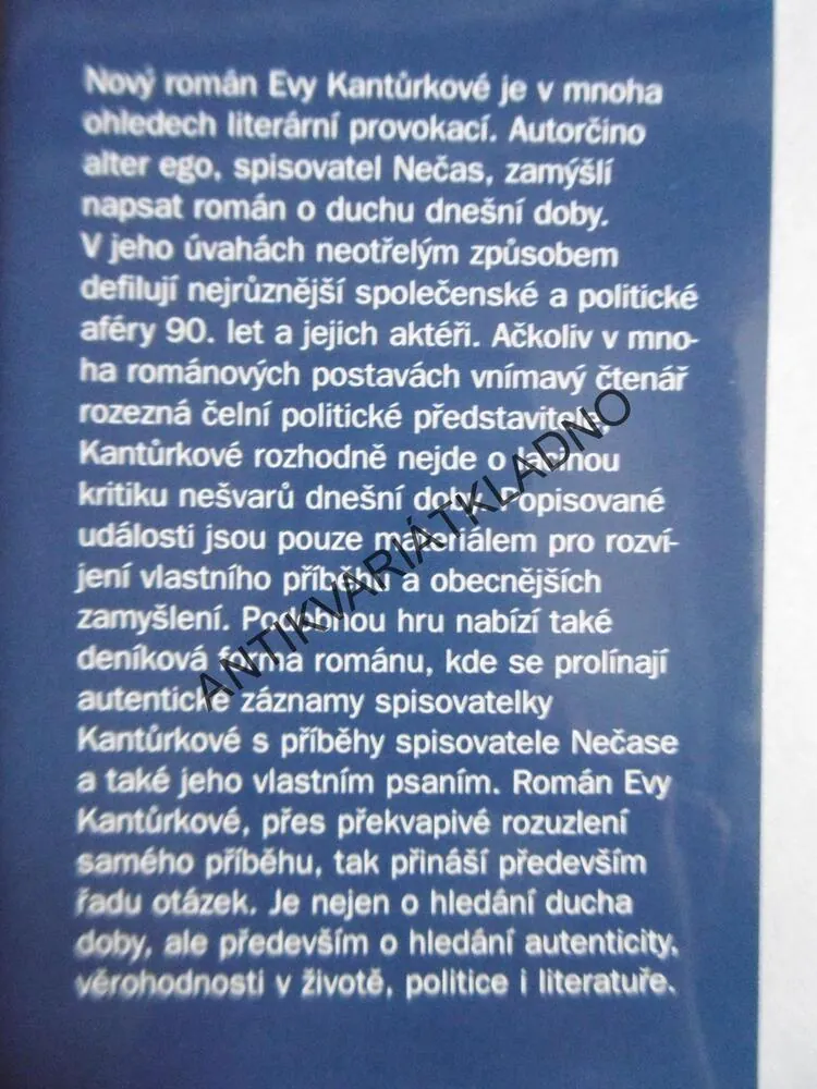 NEČASŮV ROMÁN, EVA KANTŮRKOVÁ, **an