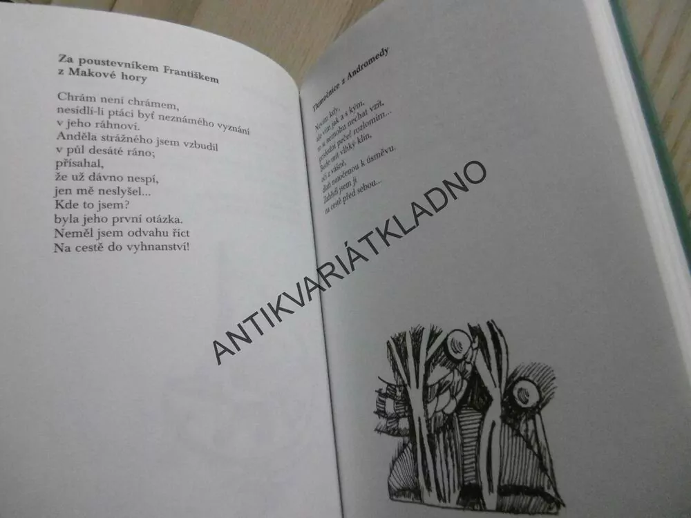 BÁSNÍCI Z PODKROVÍ, ALENA STIBOROVÁ A KOLEKTIV, **an