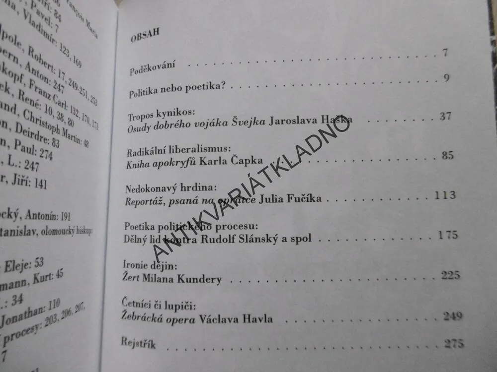 LUSTROVÁNÍ LITERATURY, PETR STEINER, **an