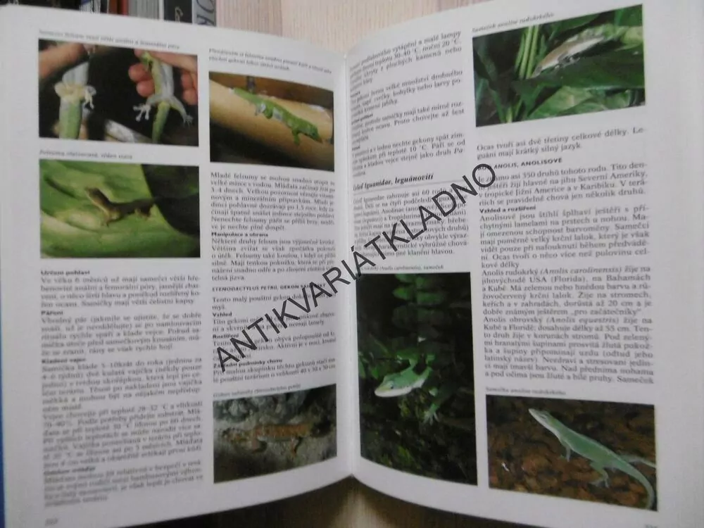 ENCYKLOPEDIE TERARISTIKY, EUGÉNE BRUINS, **an