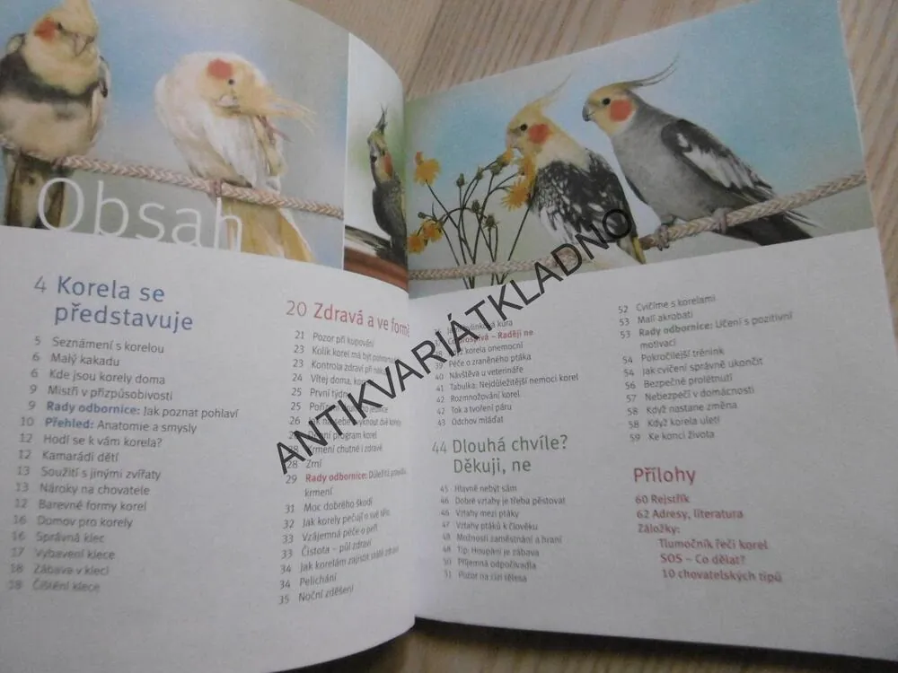 KORELA, ŠŤASTNÝ ŽIVOT LETECKÝCH AKROBATŮ, HILDEGARD NIEMANN, **an
