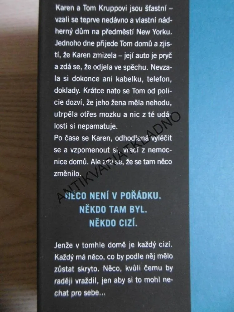 NĚKDO CIZÍ V DOMĚ, SHARI LAPENA, **an