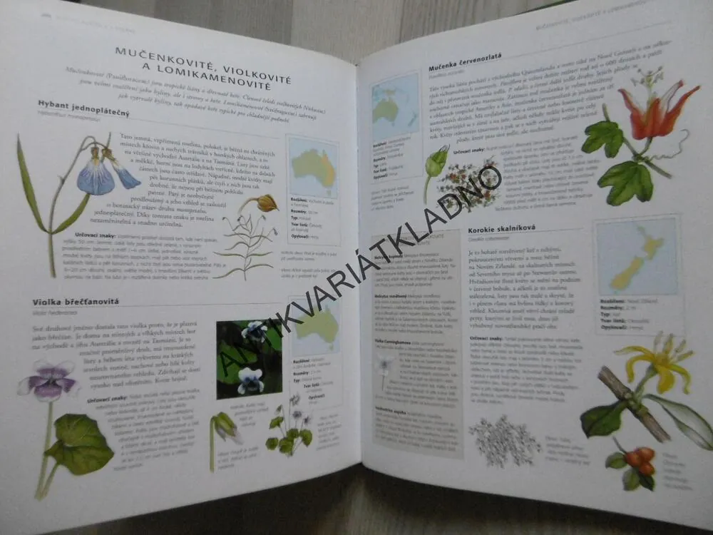 KVĚTINY A ROSTLINY V PŘÍRODĚ, SVĚTOVÁ ENCYKLOPEDIE, **an