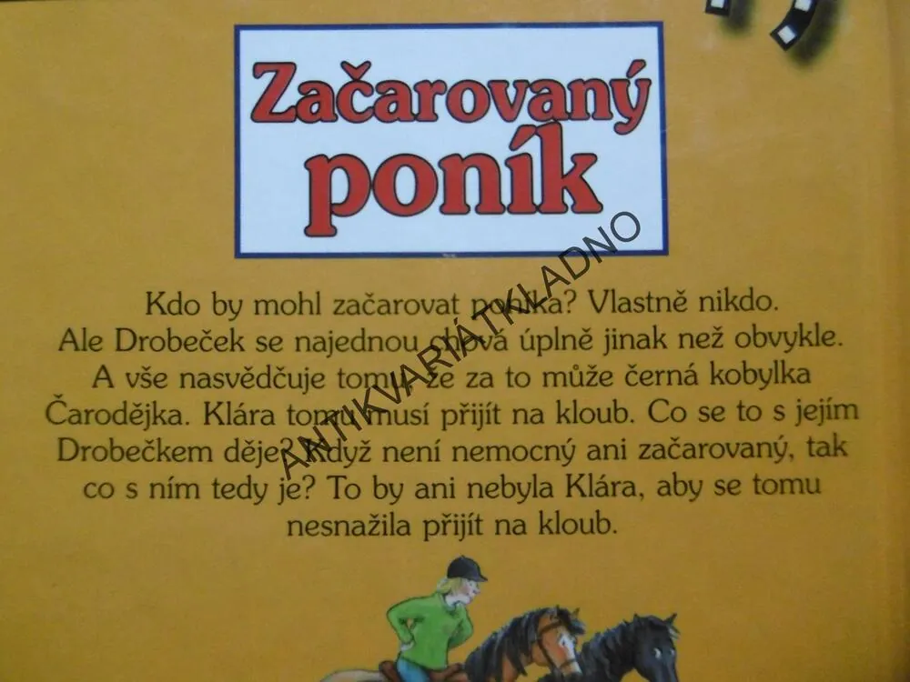 ZAČAROVANÝ PONÍK, KLÁRA A DROBEČEK, ANNE BACHNEROVÁ, **an
