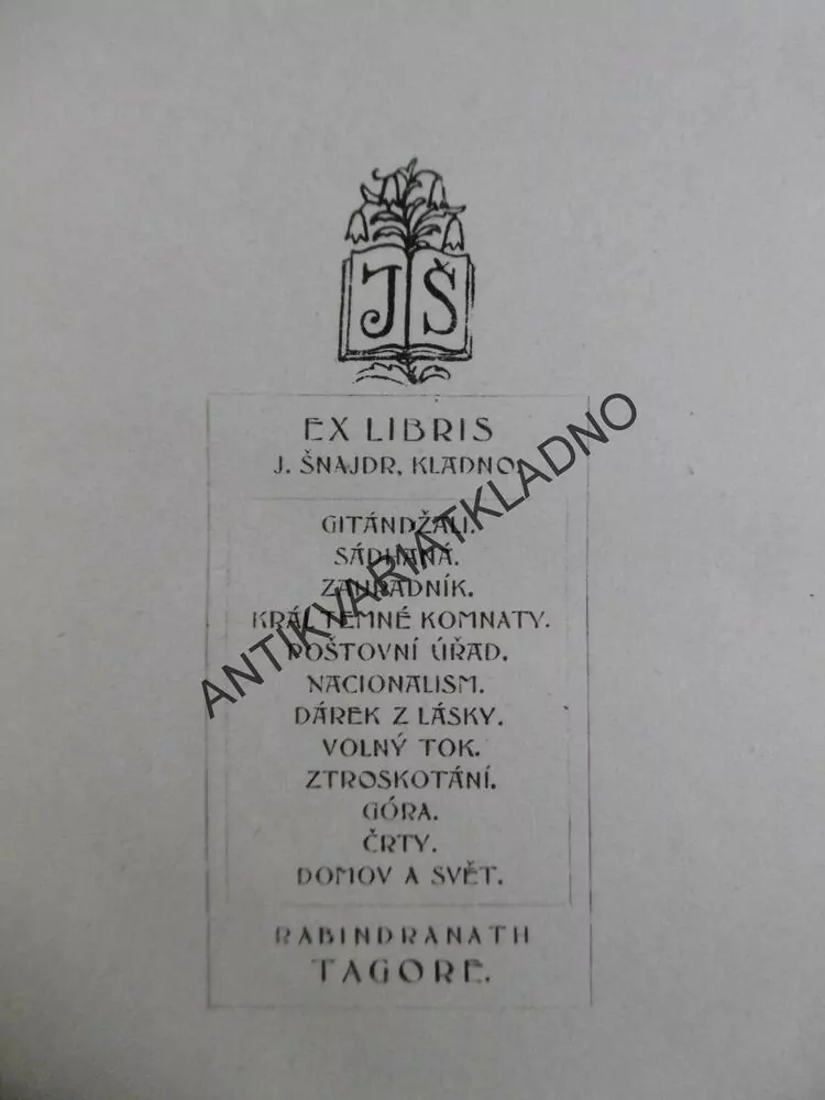 DOMOV A SVĚT, RABINDRANATH TAGORE, 1927, **an