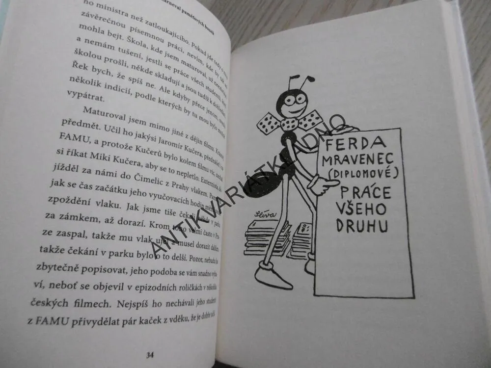 KARNEVAL PAMĚTOVÝCH BUNĚK, KAREL ŠÍP, **an