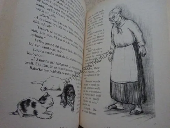 POKLADY POD SNĚHEM, PATRICIA ST. JOHN., **an