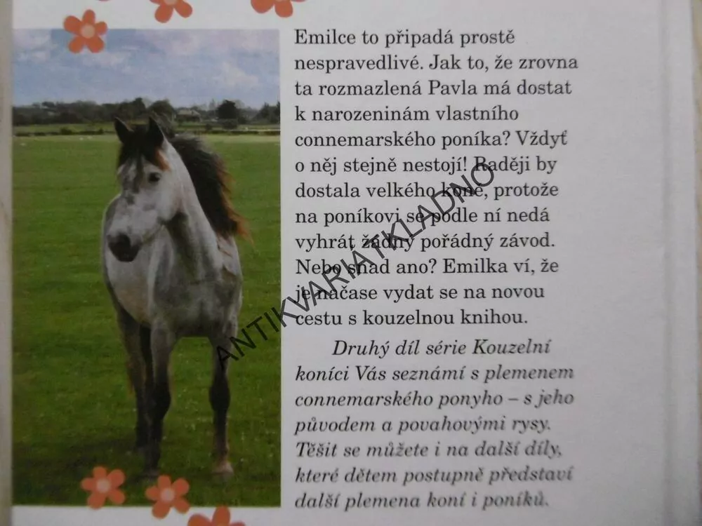 CHARLIE ZDOLÁ KAŽDOU PŘEKAŽKU, KOUZELNÍ KONÍCI, PEGGY WALKEROVÁ, **an