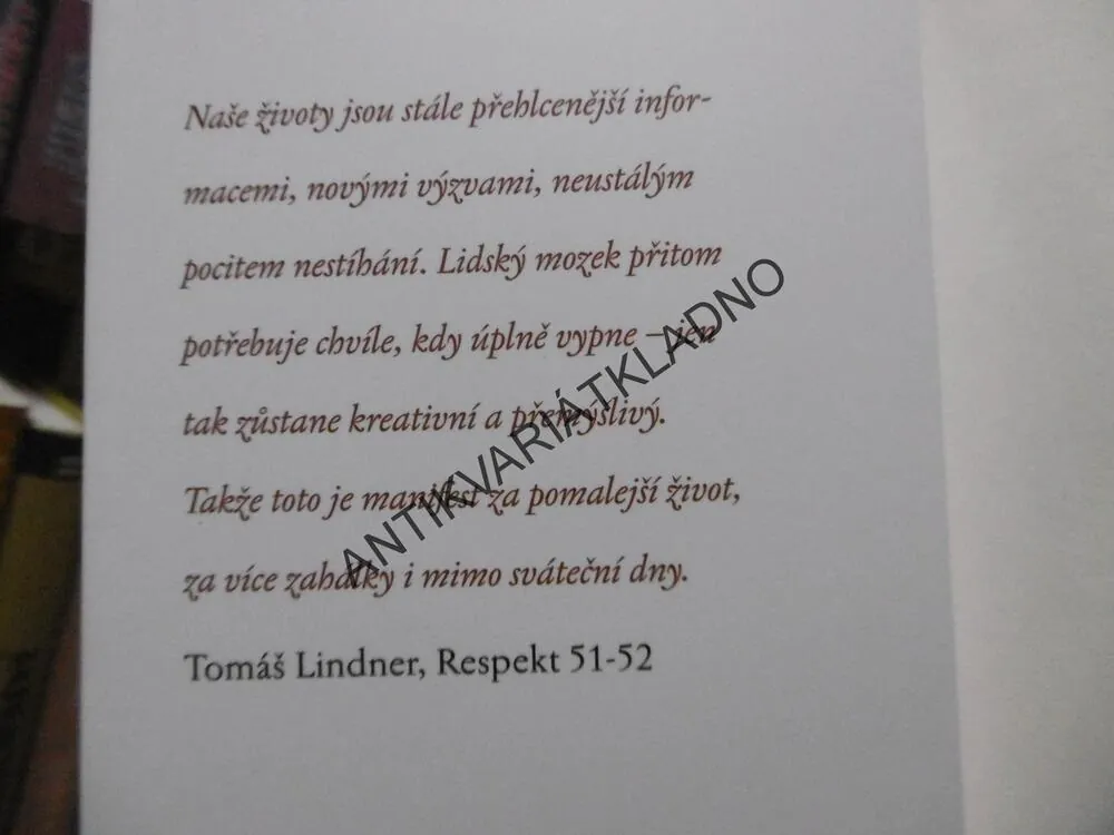 UMĚNÍ ZAHÁLKY, ULRICH SCHNABEL, **an