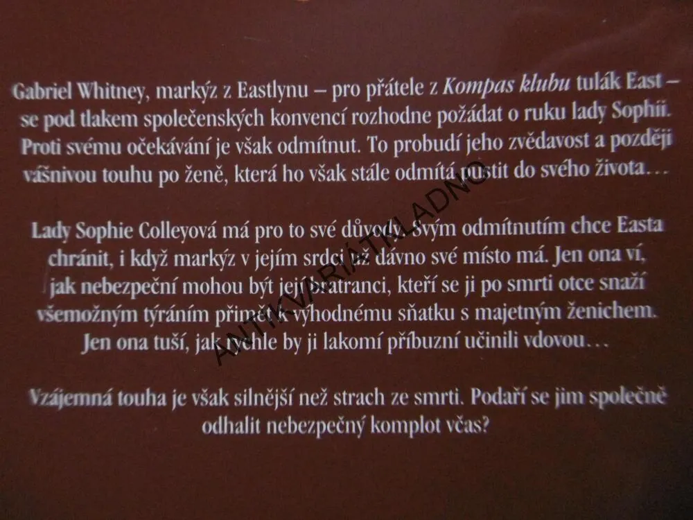 VÍC NEPOTŘEBUJI, JO GOODMANOVÁ, **an