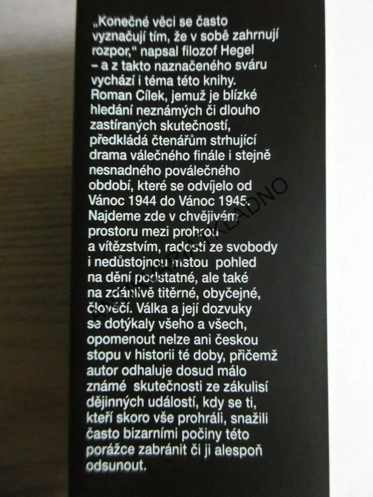 ČAS VÍTĚZŮ, ČAS PORAŽENÝCH, ROMAN CÍLEK, **an