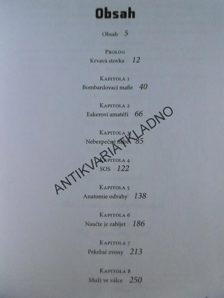 VLÁDCOVÉ NEBES, DONALD L. MILLER, **an