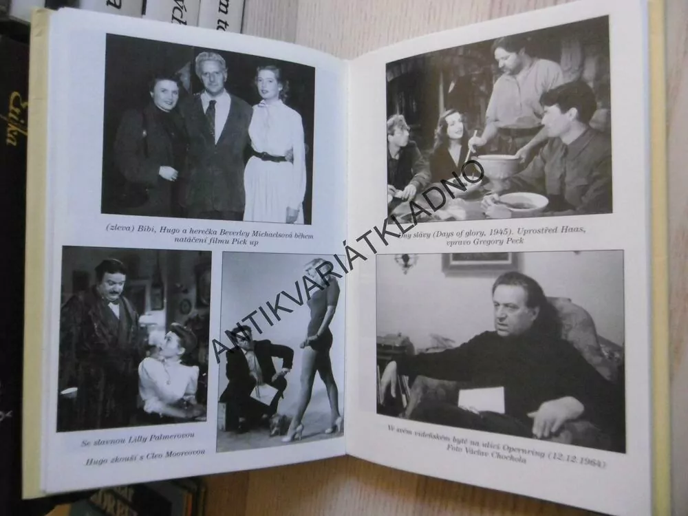 DLOUHÁ SVATEBNÍ CESTA, HUGO HAAS, BIBI HAASOVÁ, ALEŠ FUCHS, **an