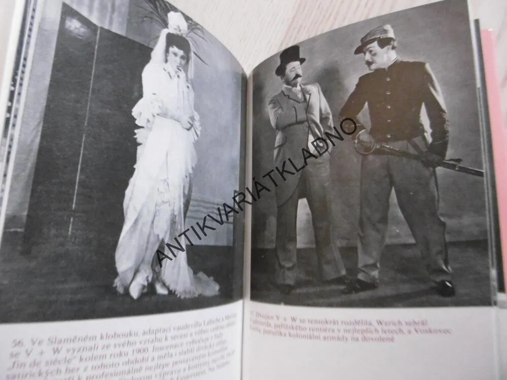 ZPRÁVA O OSVOBOZENÉM DIVADLE,JAROMÍR PELC, **an