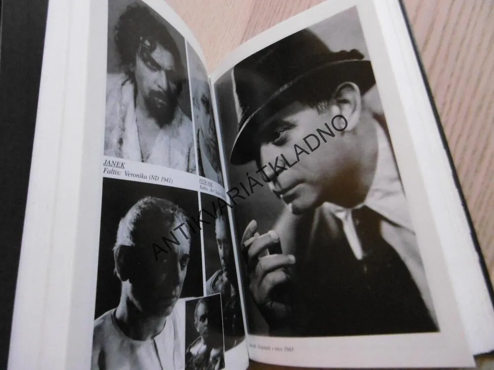 ZDENĚK ŠTĚPÁNEK, HEREC A DĚJINY, JAROSLAV VOSTRÝ, **an