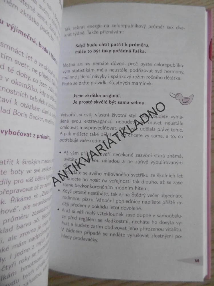 PROČ MÁMA POTŘEBUJE RŮŽOVOU KABELKU, STEPHANIE SCHNEIDER, **an