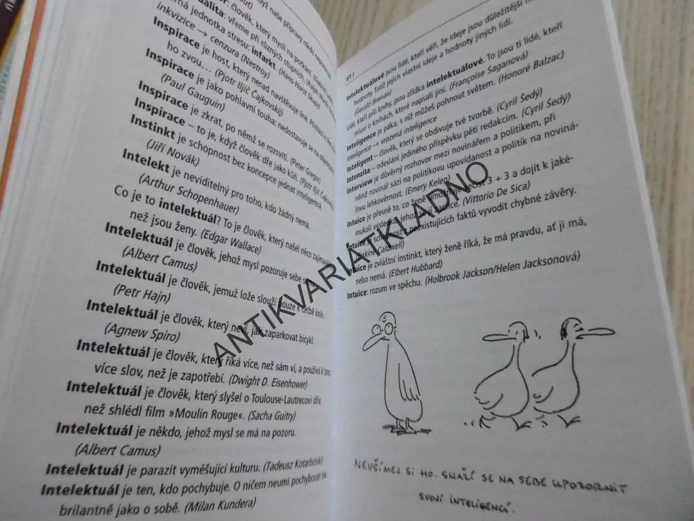 DEFINICE A VYSVĚTLIVKY, MICHAL PTÁČEK, **an