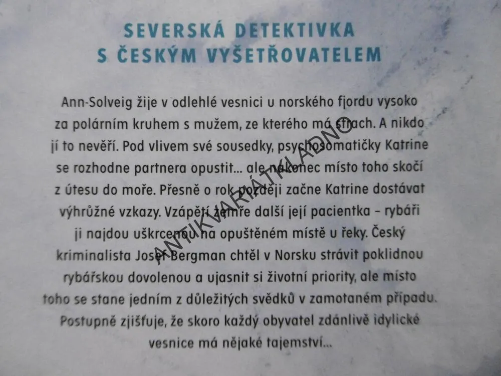 ZMIZELA V MLZE, MICHAELA KLEVISOVÁ, **an