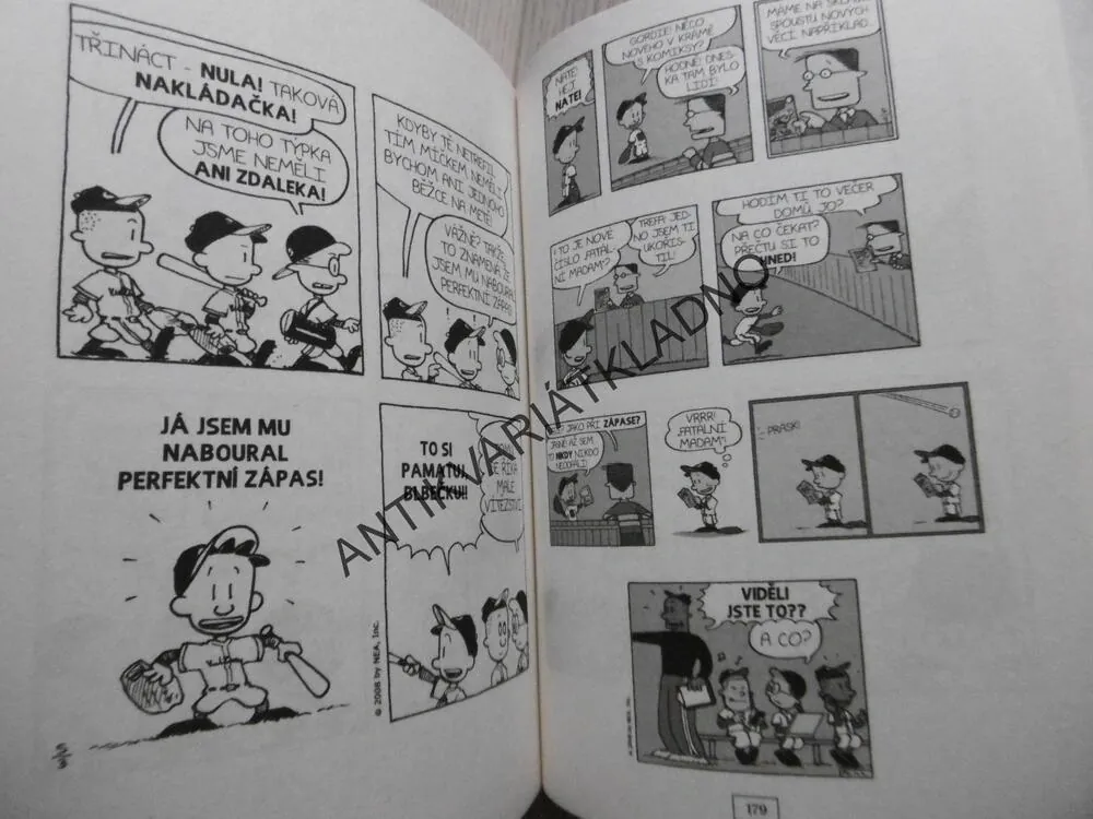 VELKEJ FRAJER NATE, KOMIKS, LINCOLN PEIRCE, **an