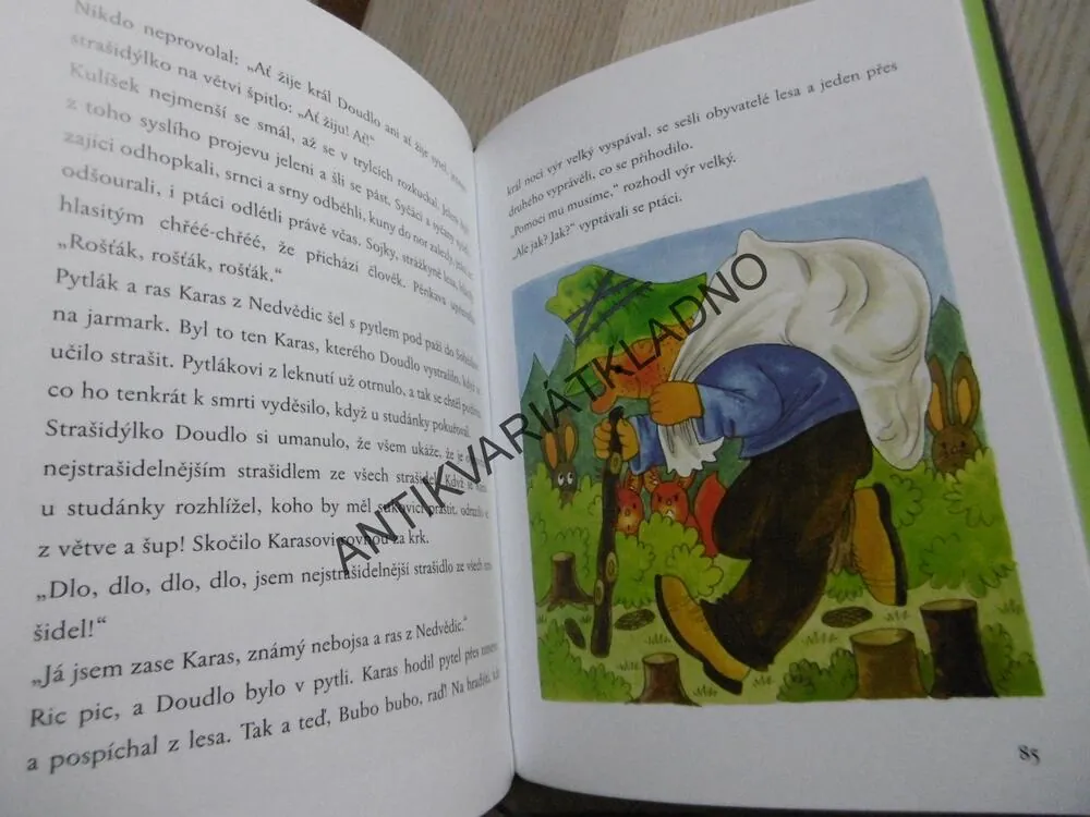 STRAŠIDLO DOUDLO, JIHOČESKÉ POHÁDKY, MIROSLAV KREJČA,EDITA PLICKOVÁ, **an