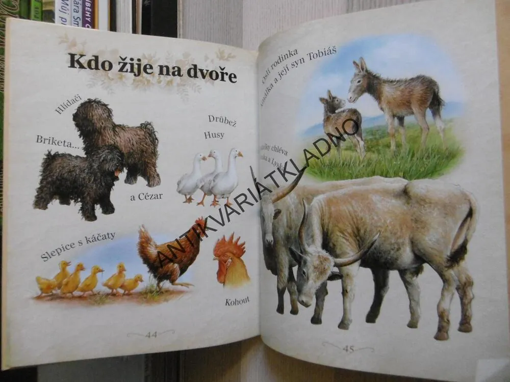 PŘÍBĚHY Z NAŠEHO STATKU, **an