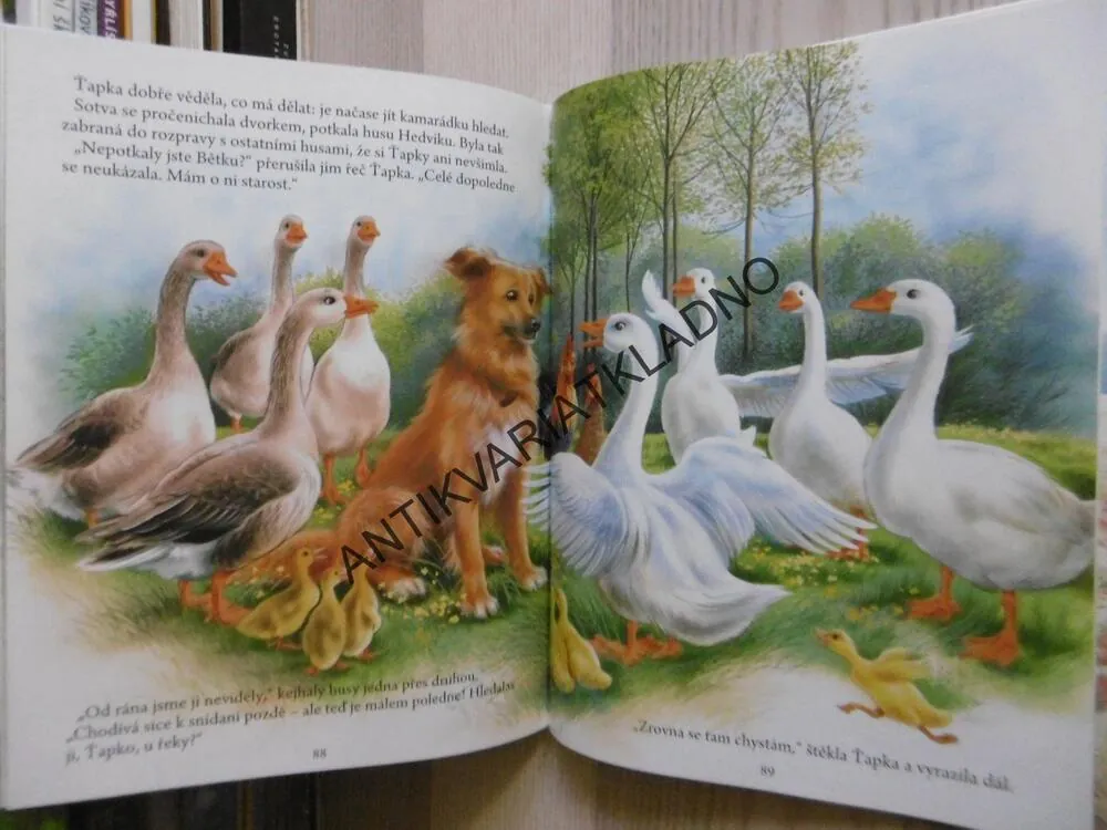 MOJI KAMARÁDI ZVÍŘÁTKA, SALEMBIER, **an