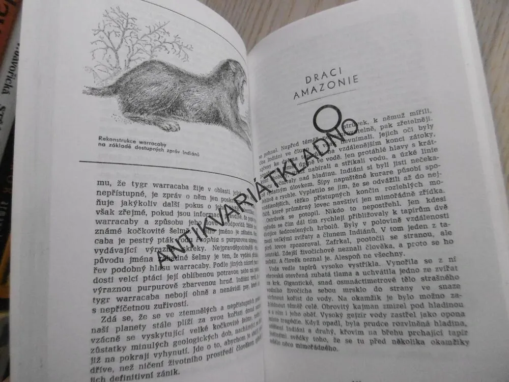 LEGENDÁRNÍ PŘÍŠERY A SKUTEČNÁ ZVÍŘATA, KRYTZOOLOGIE, JAROSLAV MAREŠ, **an