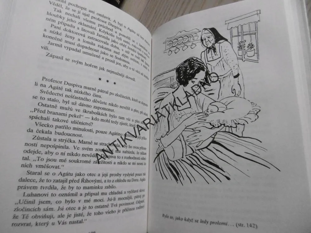 STŘÍBRNÝ OTAZNÍK, 1. VLASTA JAVOŘICKÁ, **an