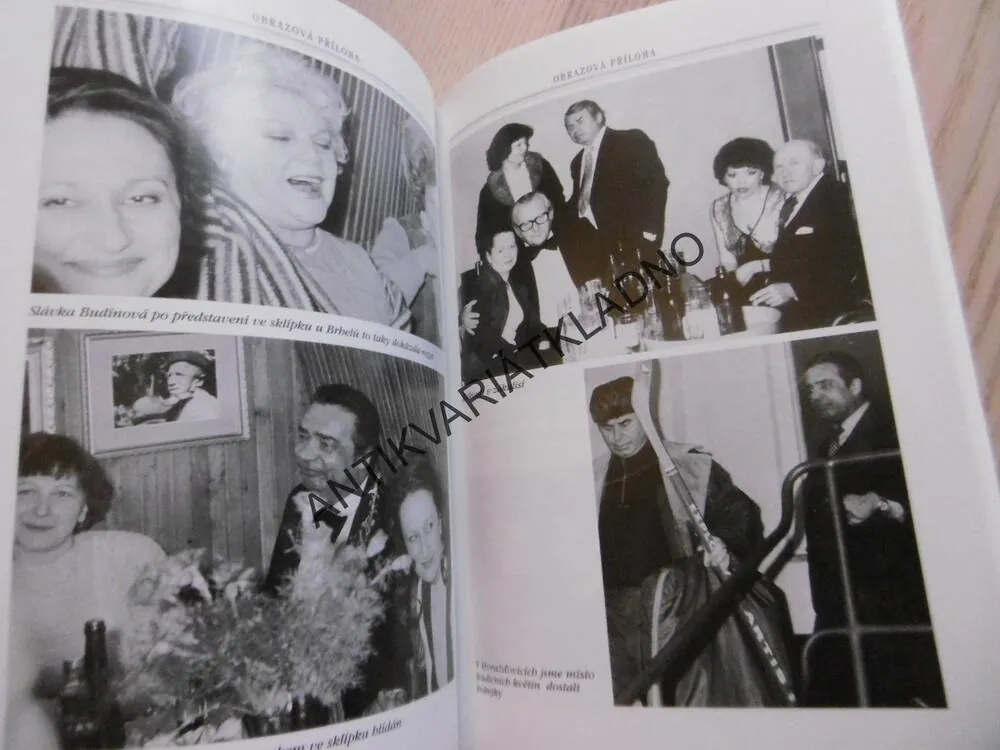 UTAJENÉ VZPOMÍNKY NA VLADIMÍRA MENŠÍKA, ALENA HORÁKOVÁ-FONOVÁ, **an