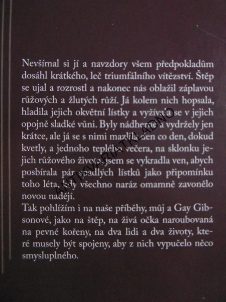 PŘÍKLADNÁ ANGLICKÁ ŽENA, RACHEL HEATHOVÁ,**an