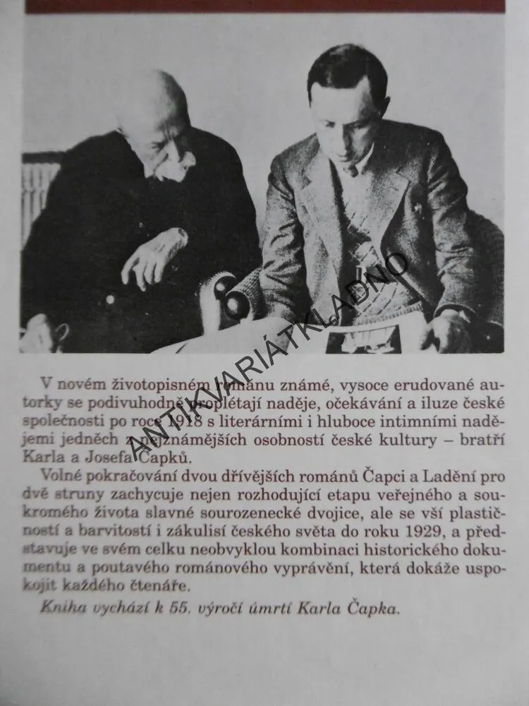 POLOČAS NADĚJÍ, MARIE ŠULCOVÁ, **an