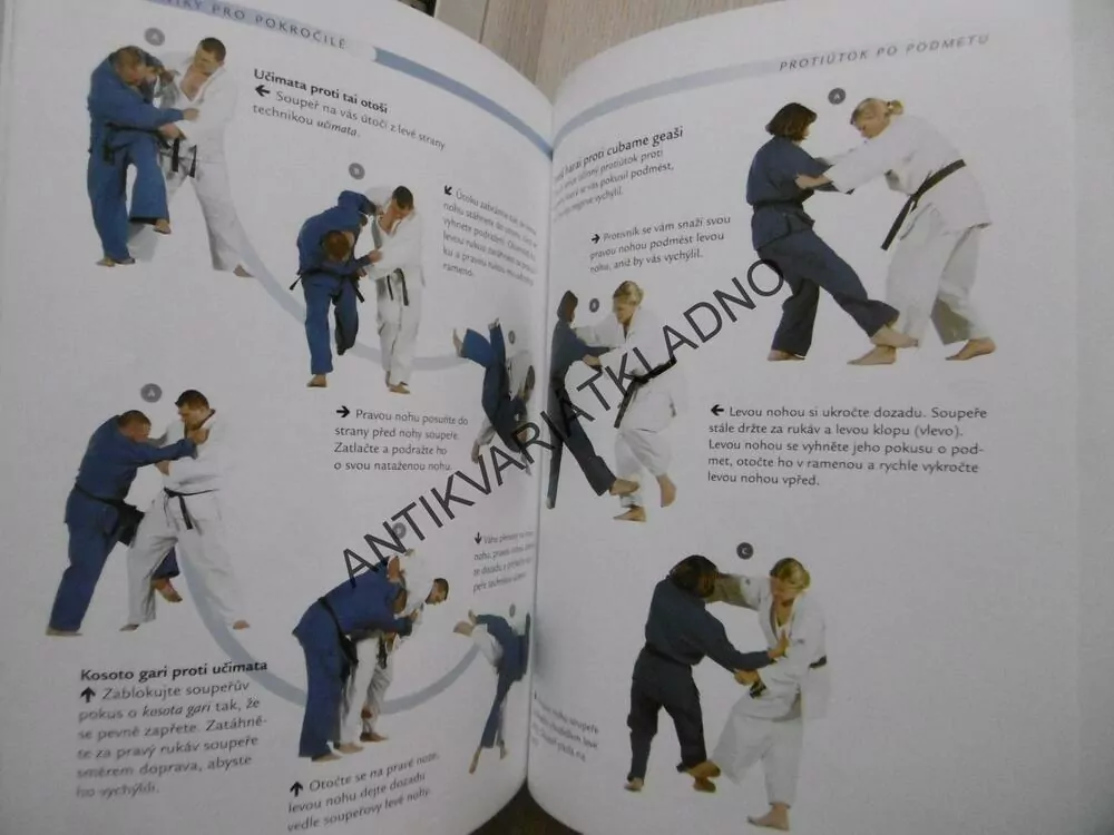 DŽUDO, PRŮVODCE BOJOVÝM UMĚNÍM,ALEX BUTCHER, **an