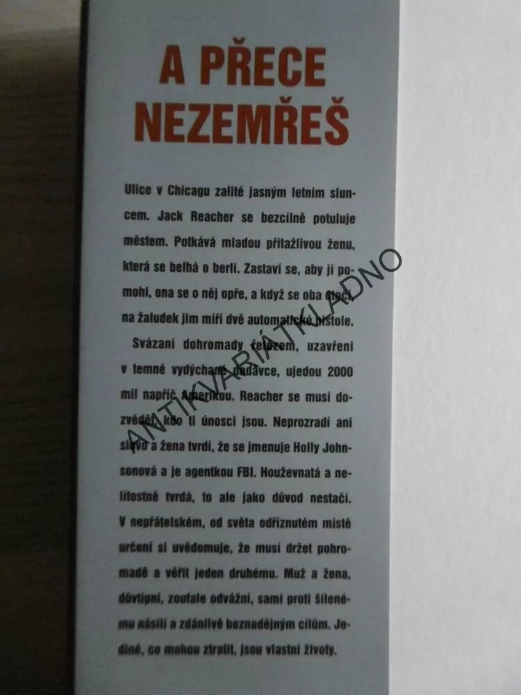 A PŘECE NEZEMŘEŠ, LEE CHILD, **an
