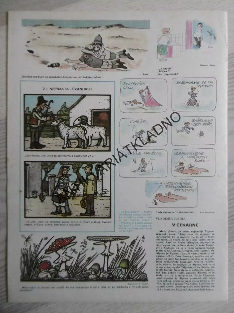 DIKOBRAZ 31/1978