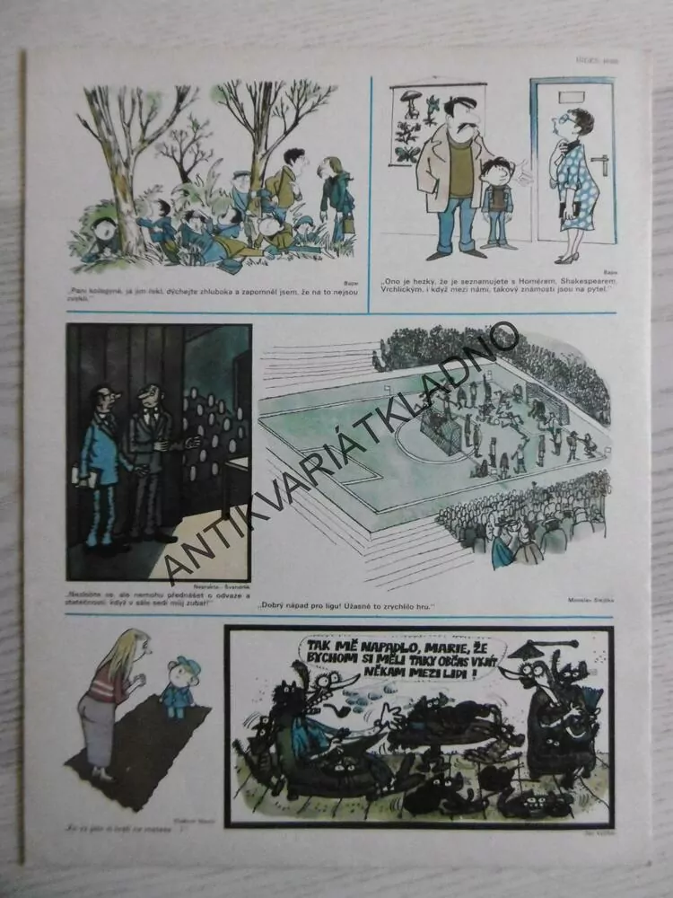 DIKOBRAZ 12/1982