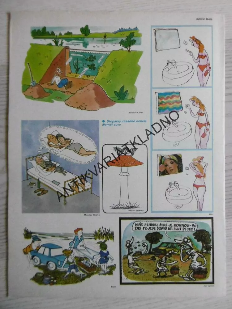 DIKOBRAZ 34/1983