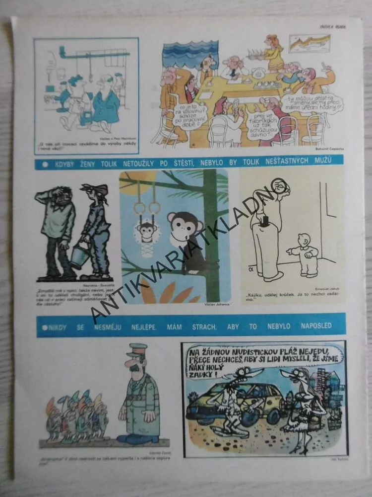 DIKOBRAZ 38/1983