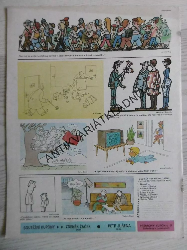 DIKOBRAZ 24/1984