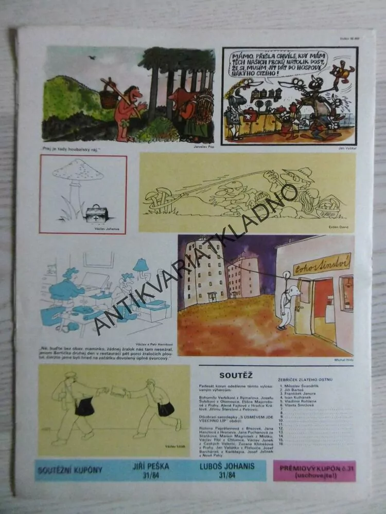 DIKOBRAZ 31/1984