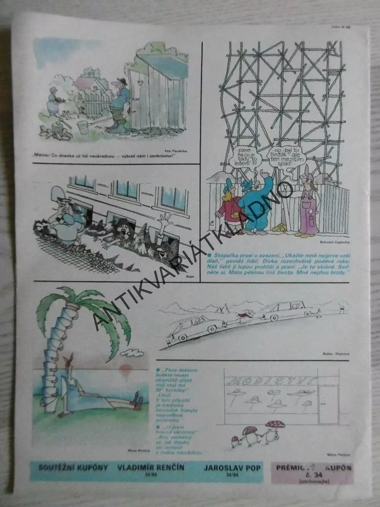 DIKOBRAZ 34/1984